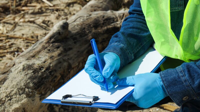 How Does Environmental Risk Assessment Safeguard Your Project?